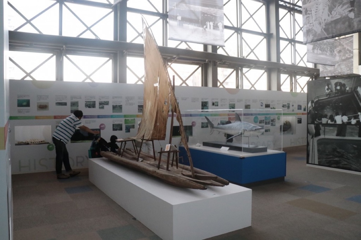 須磨族園開館60週年紀念展