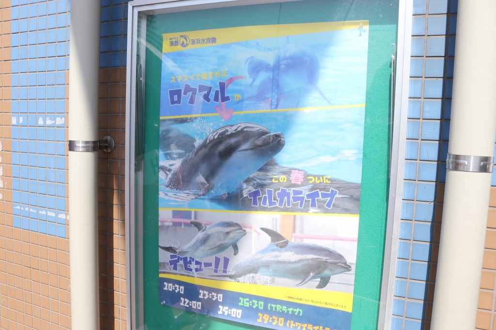 海豚劇場