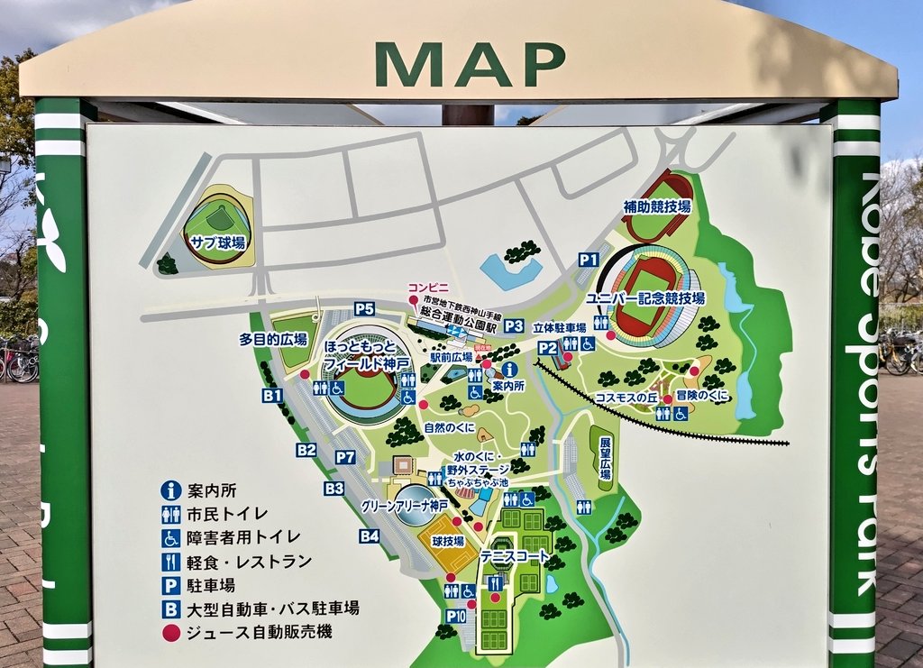 菜の花5万本が見頃に！神戸総合運動公園「コスモスの丘」で春のひととき
