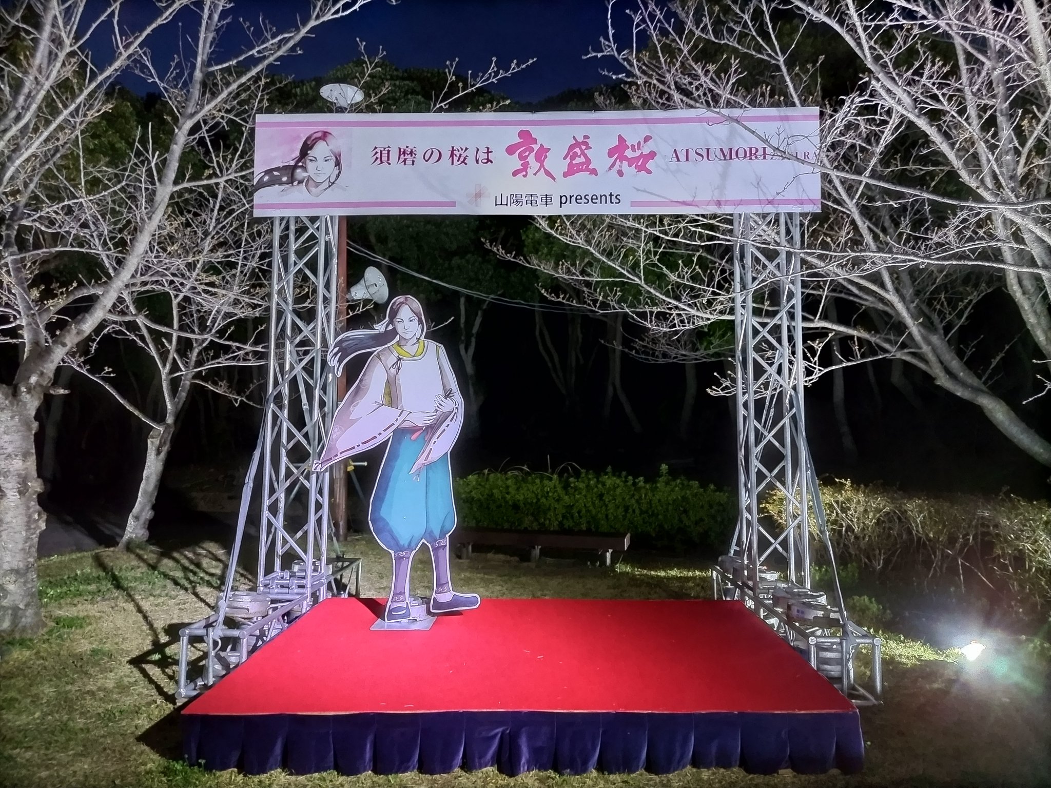 須磨浦公園の桜イベント「敦盛桜2024」が始まりました！多彩な光の演出が楽しい